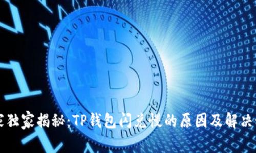 专家独家揭秘：TP钱包闪兑慢的原因及解决秘诀