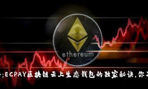 专家揭秘：ECPAY区块链云上生态钱包的独家秘诀，你不容错过！