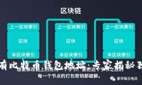 如何拥有比特币钱包地址：专家揭秘独家秘诀