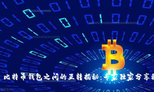 ## 比特币钱包之间的互转揭秘：专家独家分享秘诀！