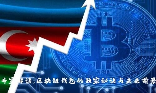 专家解读：区块链钱包的独家秘诀与未来前景