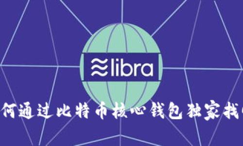 专家揭秘：如何通过比特币核心钱包独家找回BCH的秘诀