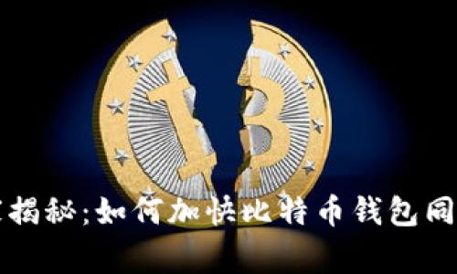 专家独家揭秘：如何加快比特币钱包同步的秘诀