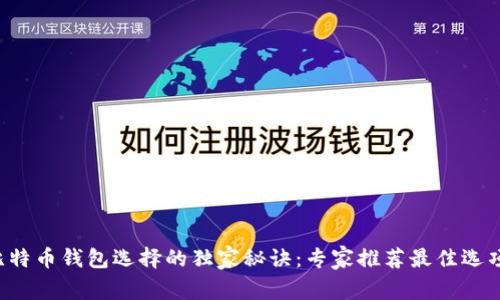 比特币钱包选择的独家秘诀：专家推荐最佳选项！