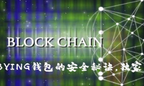 专家揭秘：BYING钱包的安全秘诀，独家分析与评测