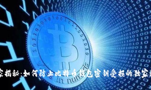 专家揭秘：如何防止比特币钱包密钥受损的独家秘诀