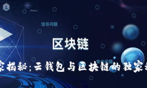 专家揭秘：云钱包与区块链的独家秘密