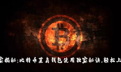 专家揭秘：比特币菜鸟钱包使用独家秘诀，轻松上手！