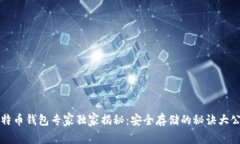 比特币钱包专家独家揭秘