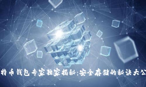 比特币钱包专家独家揭秘：安全存储的秘诀大公开
