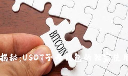 专家揭秘：USDT子母钱包的独家使用秘诀