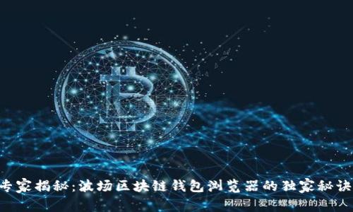 专家揭秘：波场区块链钱包浏览器的独家秘诀！