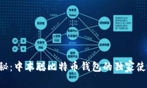 专家揭秘：中本聪比特币钱包的独家使用秘诀！