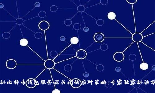 揭秘比特币钱包服务器关闭的应对策略：专家独家秘诀分享