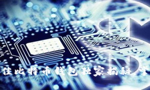 专家推荐：2023年最佳比特币钱包独家揭秘，掌握安全与便利的秘诀