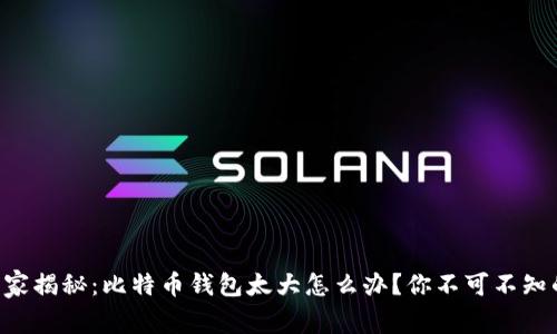 专家独家揭秘：比特币钱包太大怎么办？你不可不知的秘诀！