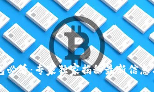 区块链钱包必看：专家独家揭秘最新信息与安全秘诀
