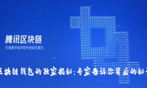 区块链钱包的独家揭秘：专家告诉你背后的秘诀
