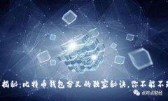 专家揭秘：比特币钱包分