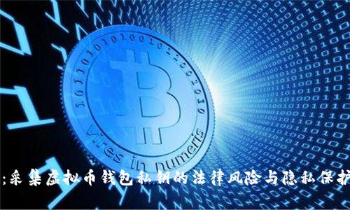 专家揭秘：采集虚拟币钱包私钥的法律风险与隐私保护独家秘诀