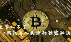 t p钱包怎么导入不了专家