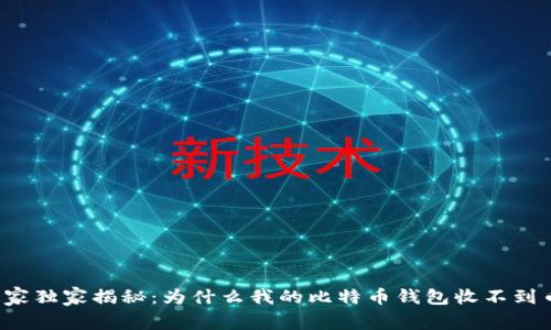 专家独家揭秘：为什么我的比特币钱包收不到币？