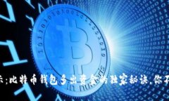 专家揭示：比特币钱包多