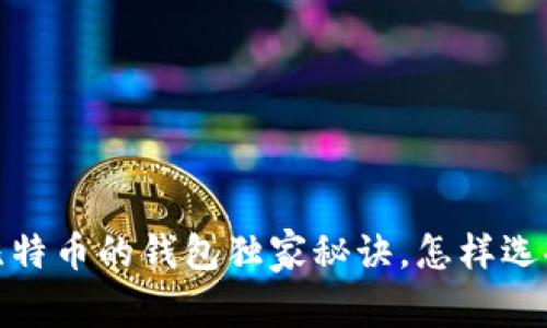 专家揭秘：存放比特币的钱包独家秘诀，怎样选择最安全的钱包？