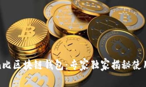 阿布扎比区块链钱包：专家独家揭秘使用秘诀！