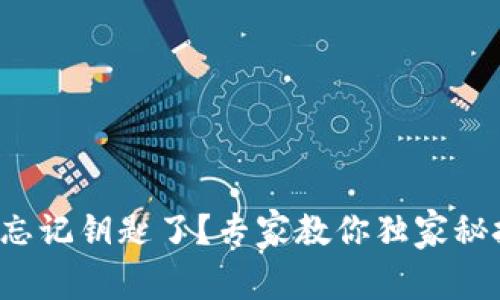 TP钱包忘记钥匙了？专家教你独家秘技找回！