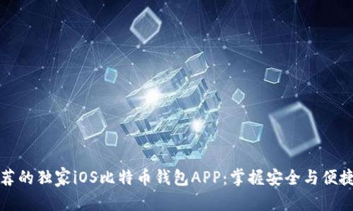 意外 

专家推荐的独家iOS比特币钱包APP：掌握安全与便捷的秘诀