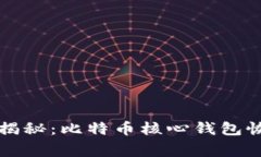 专家独家揭秘：比特币核