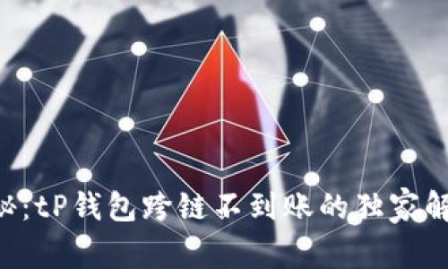 专家揭秘：tP钱包跨链不到账的独家解决秘诀！
