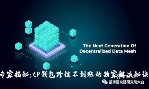 专家揭秘：tP钱包跨链不到账的独家解决秘诀！