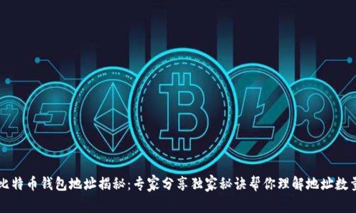 比特币钱包地址揭秘：专家分享独家秘诀帮你理解地址数量
