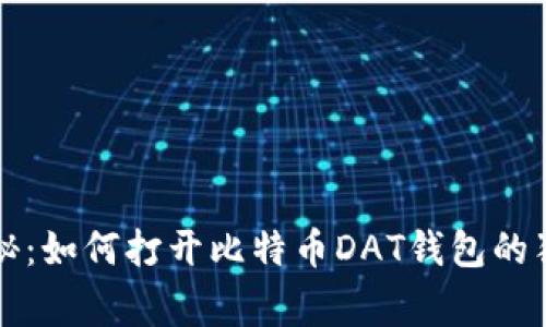 专家揭秘：如何打开比特币DAT钱包的独家秘诀