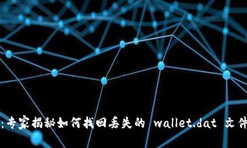 比特币钱包：专家揭秘如何找回丢失的 wallet.dat 文件的独家秘诀