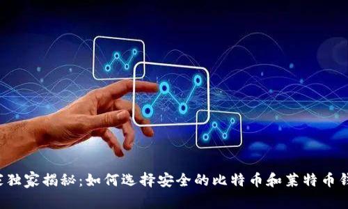 专家独家揭秘：如何选择安全的比特币和莱特币钱包？