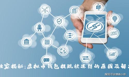 专家独家揭秘：虚拟币钱包提现被冻结的原因及解决秘诀