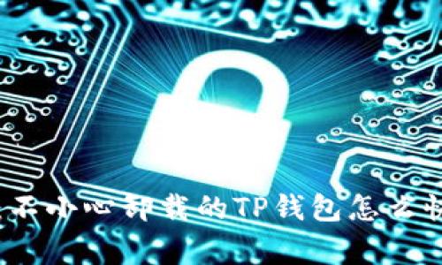 专家独家揭秘：不小心卸载的TP钱包怎么快速找回的秘诀