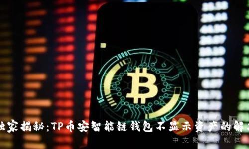 专家独家揭秘：TP币安智能链钱包不显示资产的解决秘诀