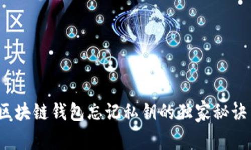 专家揭秘：区块链钱包忘记私钥的独家秘诀与挽救方案