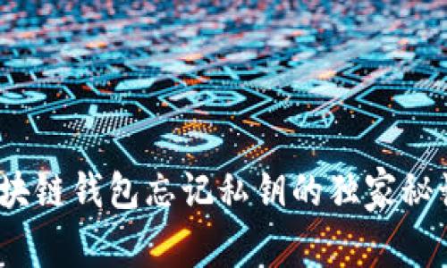 专家揭秘：区块链钱包忘记私钥的独家秘诀与挽救方案