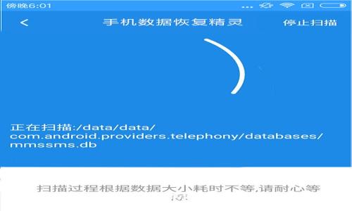 比特币钱包工具专家独家揭秘：你不可不知的选择秘诀