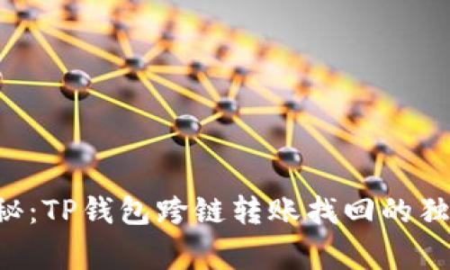 专家揭秘：TP钱包跨链转账找回的独家秘诀！