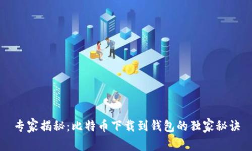 专家揭秘：比特币下载到钱包的独家秘诀