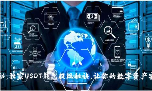 专家揭秘：独家USDT钱包提现秘诀，让你的数字资产安全转移