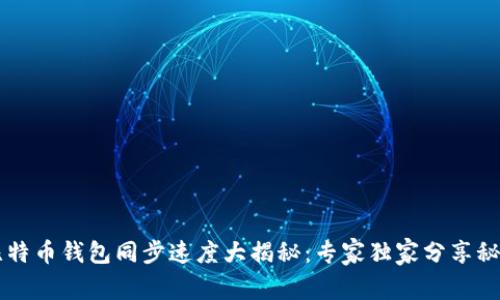 比特币钱包同步速度大揭秘：专家独家分享秘笈