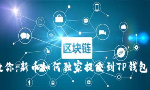 专家教你：新币如何独家提交到TP钱包的秘诀