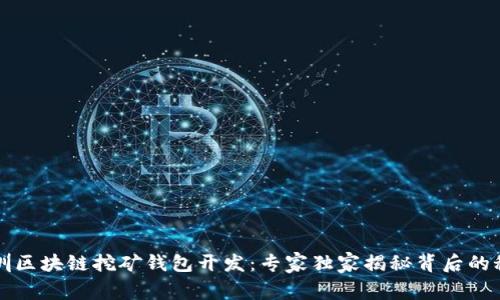 深圳区块链挖矿钱包开发：专家独家揭秘背后的秘诀
